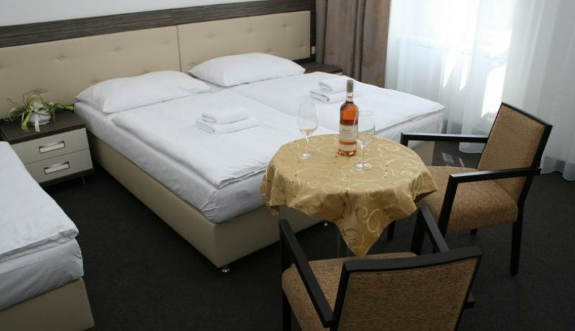 HOTEL MALTA Karlovy Vary - Jednolůžkový pokoj